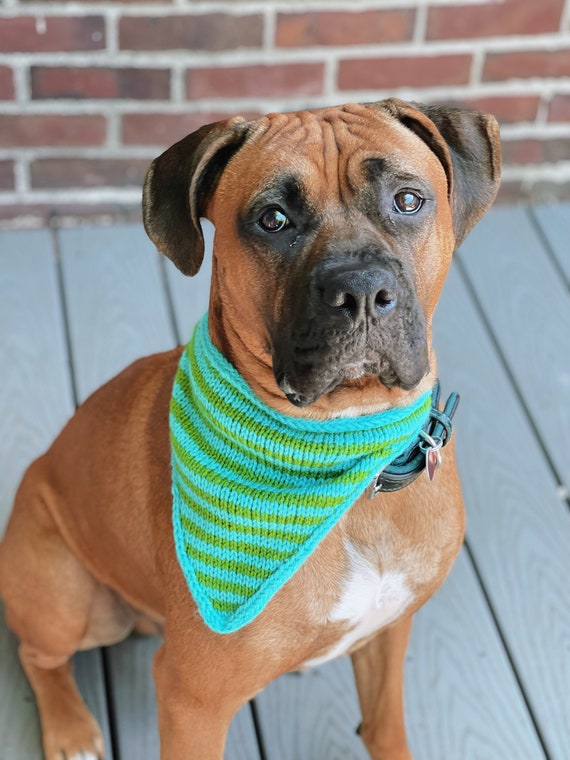 IN STOCK Big Dog Bandana Striped Pet Infinity Scarf Dog Snog