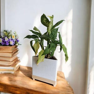 Triangle Plant Pot, Marble Texture With Wood Drip Tray, Minimalist Triangle Planter