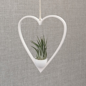 May include: White heart-shaped hanging planter with a small green air plant inside. The planter is suspended from a white string.