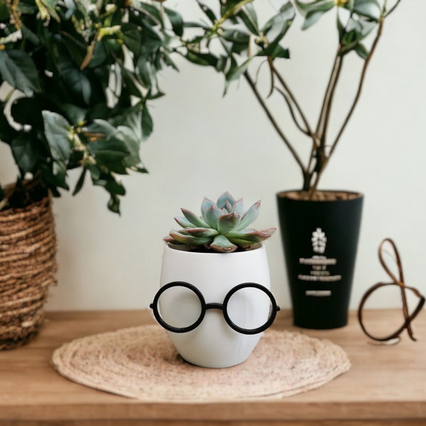 Plant Pot With Glasses, Novelty Planter, Quirky Glasses Plant Pot, Pencil Pot Holder, Cute Face Pot, Cute Planter, Indoor Plant Potter