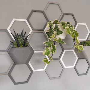 Indoor Wall Planter Honeycomb Design, Expandable Wall Pot System, Hexagon Wall Planter, Geometric, Vertical Garden, Wall Pots, Wall Art