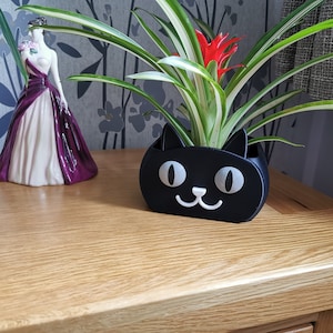 May include: A black cat-shaped planter with white eyes and a white nose, holding a green plant with red flowers. The planter is sitting on a wooden surface.