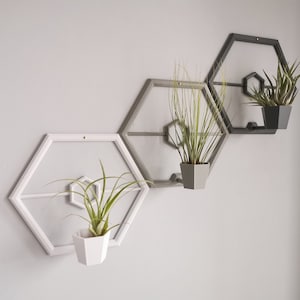 May include: Three hexagonal wall planters in white, grey, and black, each holding a different type of green plant. The planters are mounted on a white wall.