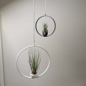 May include: Two hanging plant holders, one black and one white, with air plants inside. The holders are suspended from the ceiling with twine.