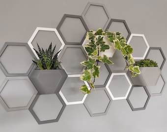 Honeycomb Wall Planter: Geometric Hexagon Vertical Garden, Expandable Wall Pot System
