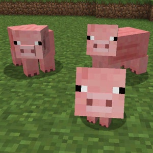 Może przedstawiać: Trzy r&oacute;żowe świnie Minecraft stojące na zielonej trawie. Świnie są zwr&oacute;cone w r&oacute;żnych kierunkach.