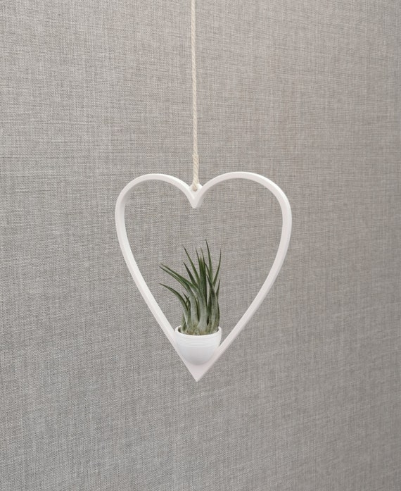 Heart Air Plant Hanger with Pot: Modern Home Decor