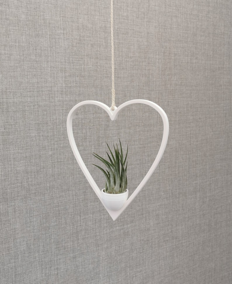 May include: White heart-shaped hanging planter with a small green air plant inside. The planter is suspended from a white string.