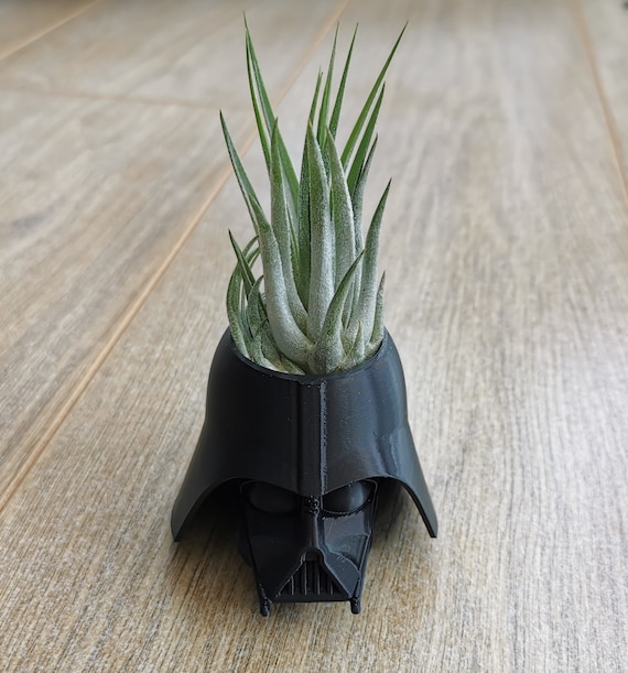 Air Plant Pot Darth Vader Inspired Star Wars Gift Air Plant Planter Air Plant Holder Star Wars Decor House Air Plant Etsy Canada