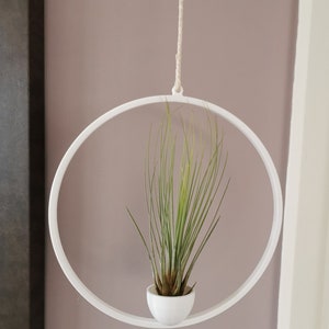 May include: White metal hanging planter with a circular frame and a small white pot containing a green air plant.
