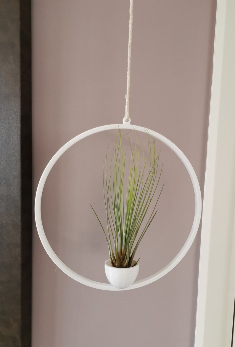 May include: White metal hanging planter with a circular frame and a small white pot containing a green air plant.