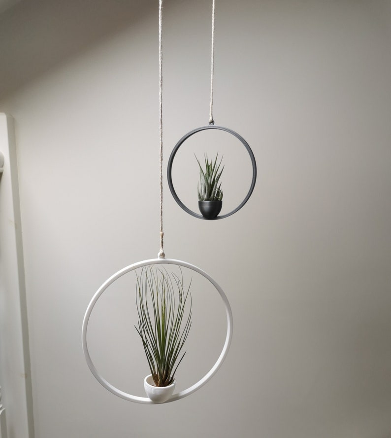 May include: Two hanging plant holders, one black and one white, with air plants inside. The holders are suspended from the ceiling with twine.