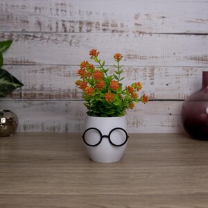 Add a touch of whimsy to your decor with our glasses plant pot! Perfect for plants or as a tidy desk organizer. Crafted from eco-friendly PLA plastic.