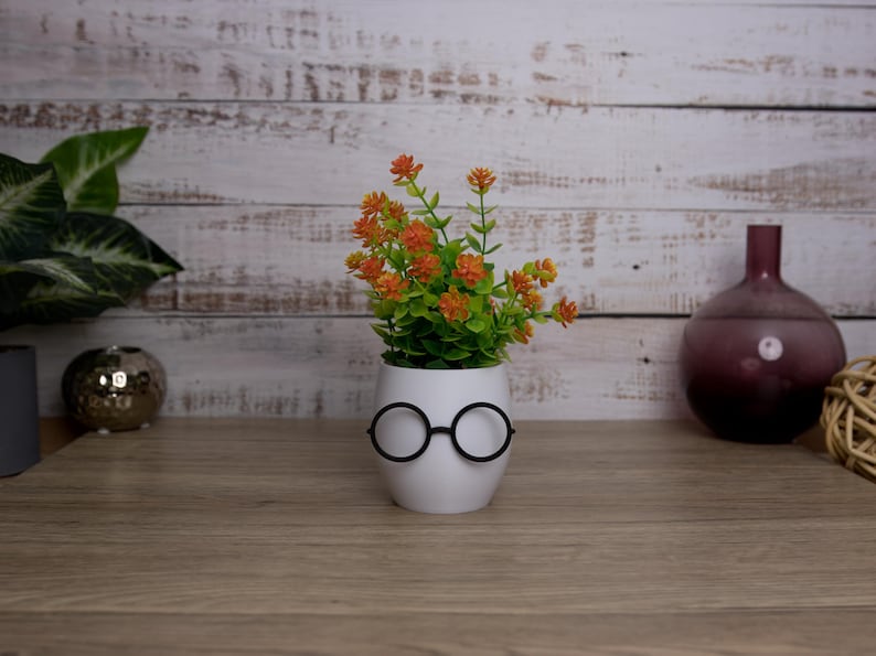 Add a touch of whimsy to your decor with our glasses plant pot! Perfect for plants or as a tidy desk organizer. Crafted from eco-friendly PLA plastic.