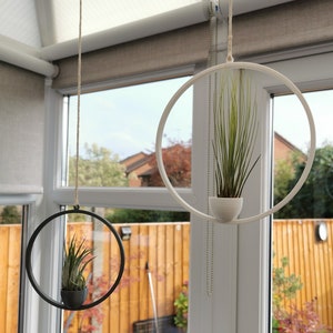 May include: Two hanging plant holders, one black and one white, with air plants inside. The holders are suspended from the ceiling by cords and chains.