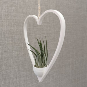 May include: White heart-shaped hanging planter with a small green air plant inside.