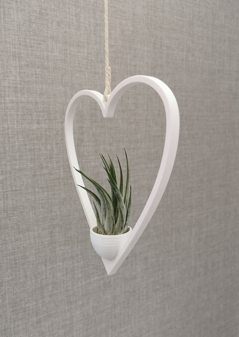 May include: White heart-shaped hanging planter with a small green air plant inside.