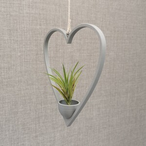 May include: A gray heart-shaped hanging planter with a small green air plant inside. The planter is made of wood and has a rope hanging from the top.