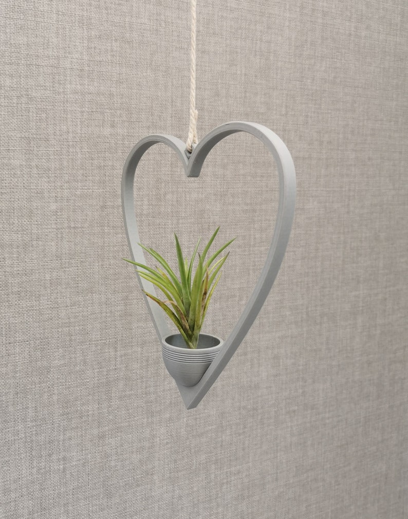 May include: A gray heart-shaped hanging planter with a small green air plant inside. The planter is made of wood and has a rope hanging from the top.