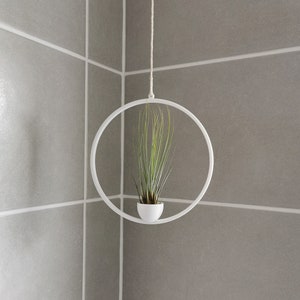 May include: A white metal hanging planter with a round hoop and a small white pot containing a green air plant.