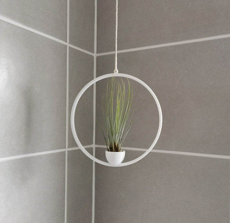 May include: A white metal hanging planter with a round hoop and a small white pot containing a green air plant.