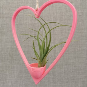 May include: A pink heart-shaped hanging planter with a small air plant inside. The planter is made of plastic and has a simple design.