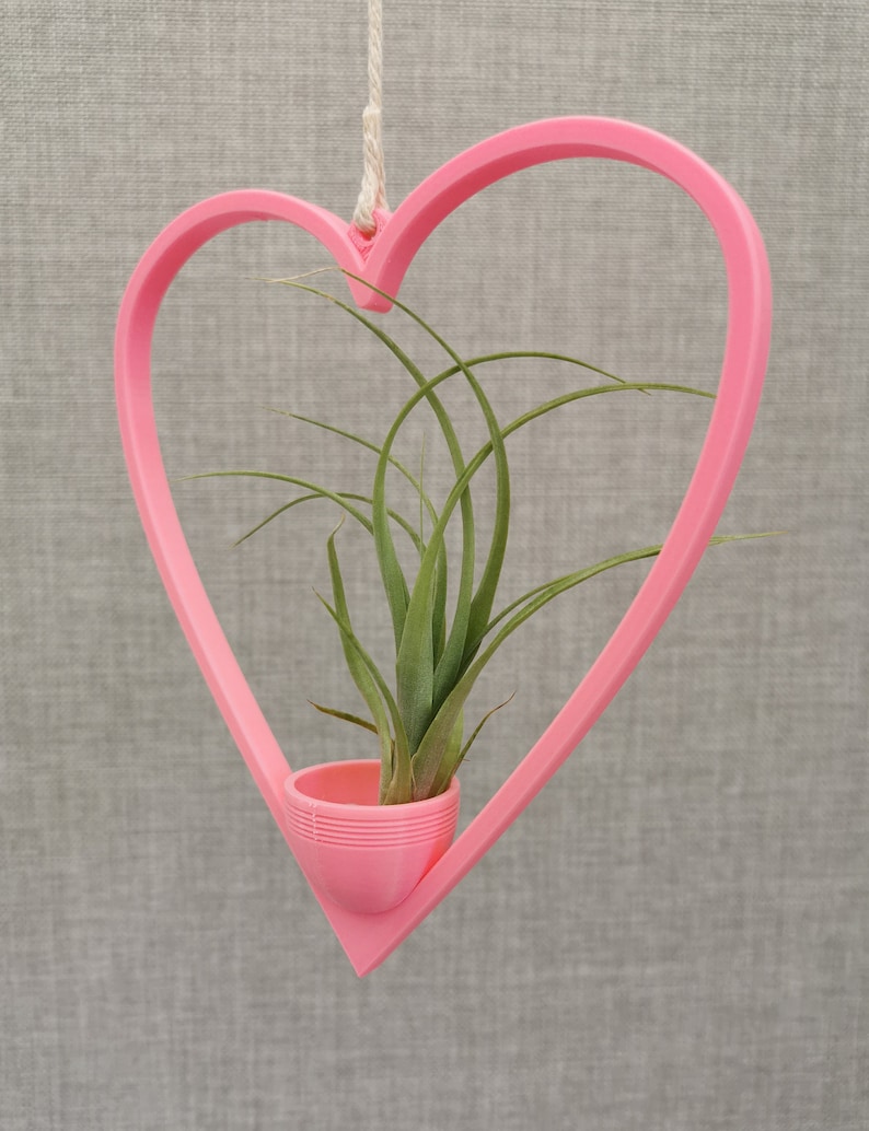 May include: A pink heart-shaped hanging planter with a small air plant inside. The planter is made of plastic and has a simple design.