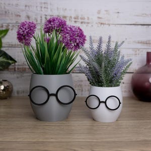 Quirky Plant Pot with Glasses: Pencil Pots, Potter Themed Decor, Fun Planter, Office Decor