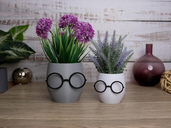Quirky Plant Pot with Glasses: Pencil Pots, Potter Themed Decor, Fun Planter, Office Decor