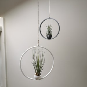 May include: Two hanging plant holders, one black and one white, each with a small air plant inside. The holders are circular and made of metal.