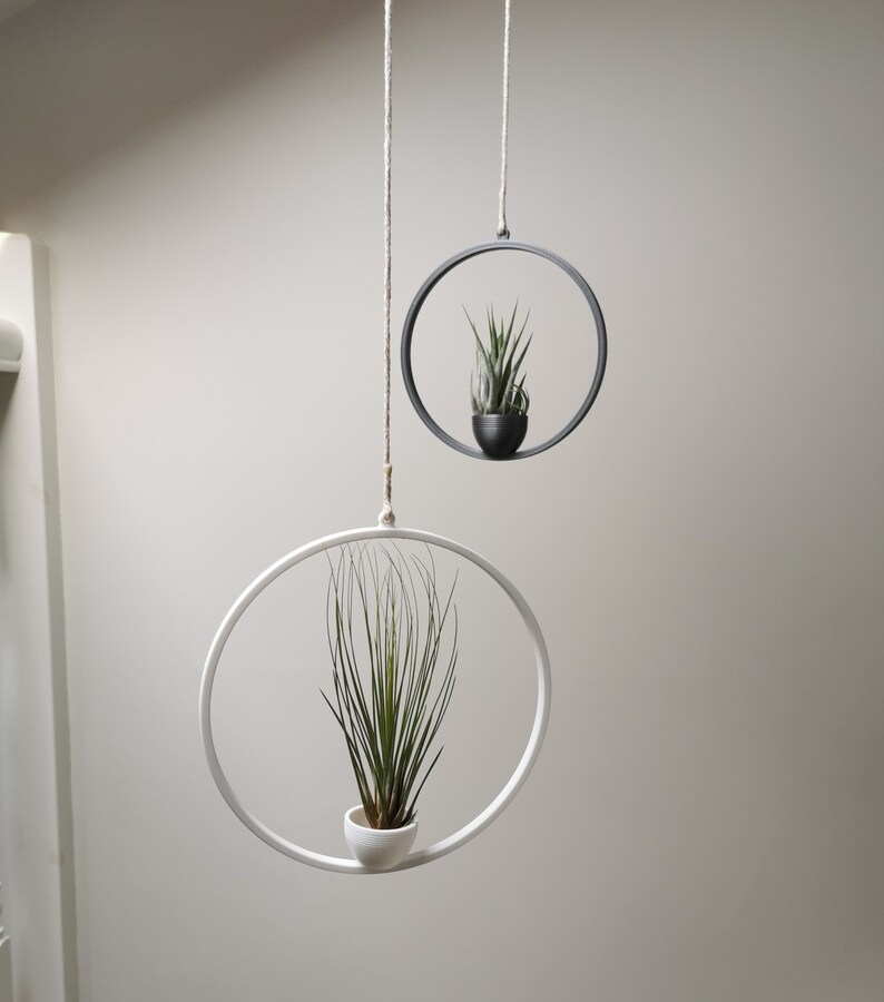 May include: Two hanging plant holders, one black and one white, each with a small air plant inside. The holders are circular and made of metal.