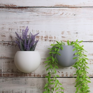 May include: Two round wall-mounted planters, one white and one grey, with plants growing out of them. The planters are mounted on a white wood wall.