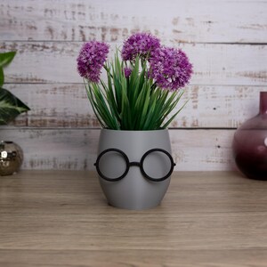Elevate your home or workspace with our charming glasses plant pot! Ideal for plants or as a unique desk organizer. Made from biodegradable materials.
