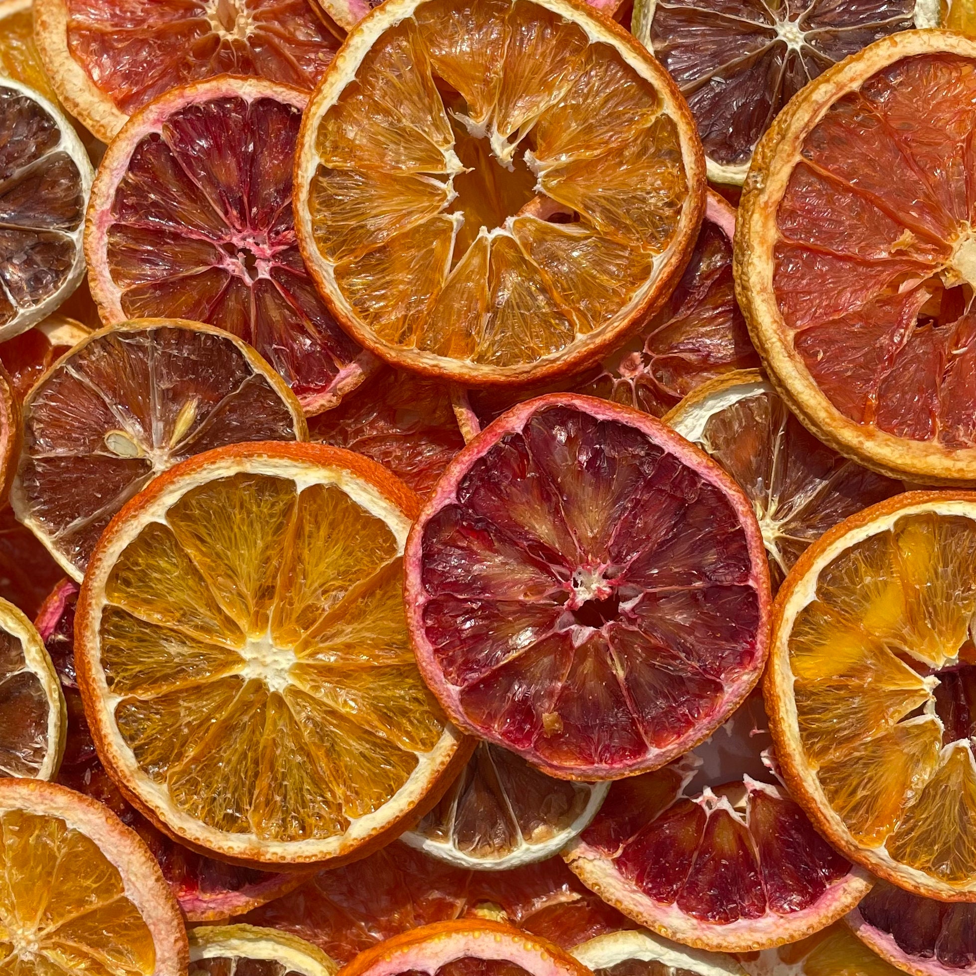 20x Dried Orange Slices