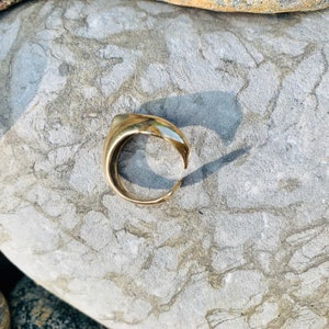Dolphin Wrap Ring image 6
