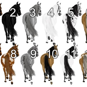 May include: Twelve different horse illustrations, each with a unique coat pattern and color. The horses are facing away from the viewer, with their tails flowing behind them. The horses are numbered 1 through 12.