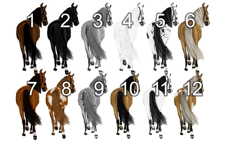May include: Twelve different horse illustrations, each with a unique coat pattern and color. The horses are facing away from the viewer, with their tails flowing behind them. The horses are numbered 1 through 12.