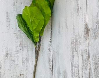 Fiddle Fig Spray
