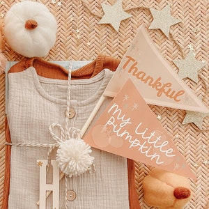 May include: A beige baby onesie with a brown trim is wrapped with twine and a white pom-pom. The onesie is surrounded by autumn-themed decorations, including a small pumpkin, a felt pumpkin, and two flags that read "Thankful" and "My Little Pumpkin".