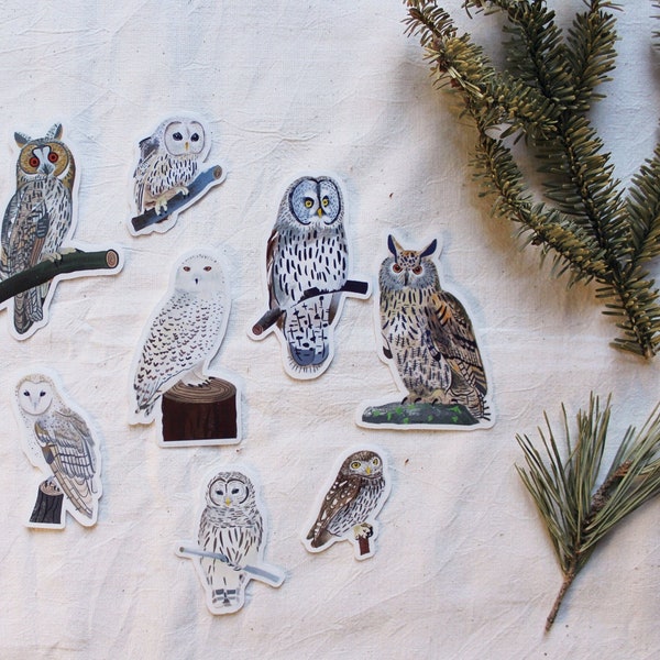 Owls and Uhu Stickers - Nature Stickers, Decorative Bulletjournal Supplies, Planning & Journaling Sticker