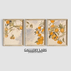 Orange Tree Painting PRINTABLE Vintage 3 Piece Wall Art DOWNLOADABLE Mediterranean Print Kitchen Decor Garden Wall Art Painting