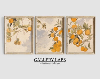 Orange Tree Vintage Art Prints • Mediterranean Kitchen Decor (Digital Paintings, Set of 3)