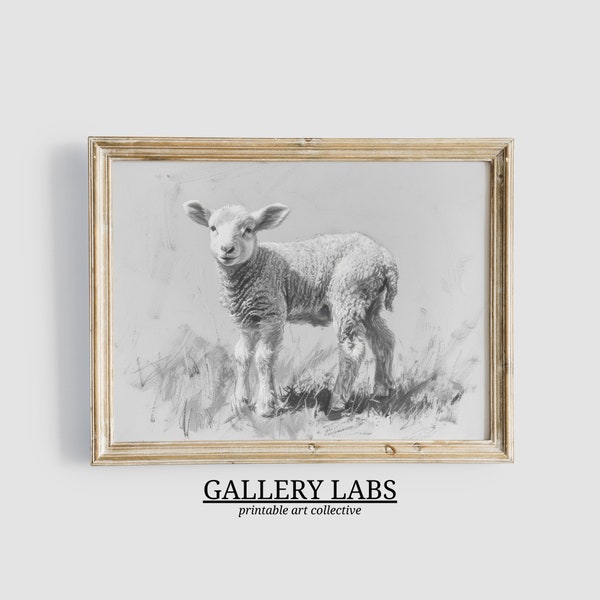Lamb Sketch • Spring Wall Art • PRINTABLE Woodland Animal Decor • Neutral Nursery Print • Vintage Animal Drawing • Digital Art Download