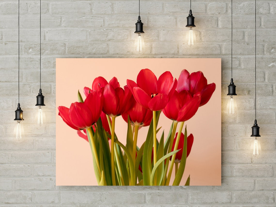 Tulip Flower Canvas UK Wall Art Decor Picture Print Floral Red Etsy