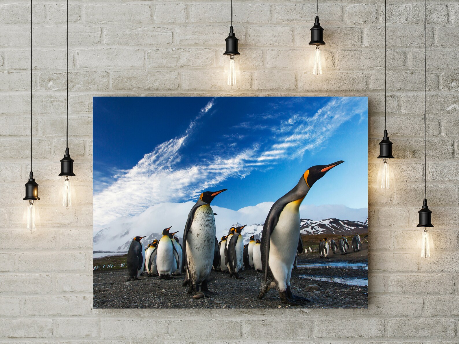 Penguin Canvas UK Wall Art Decor Print Picture Love Animals | Etsy