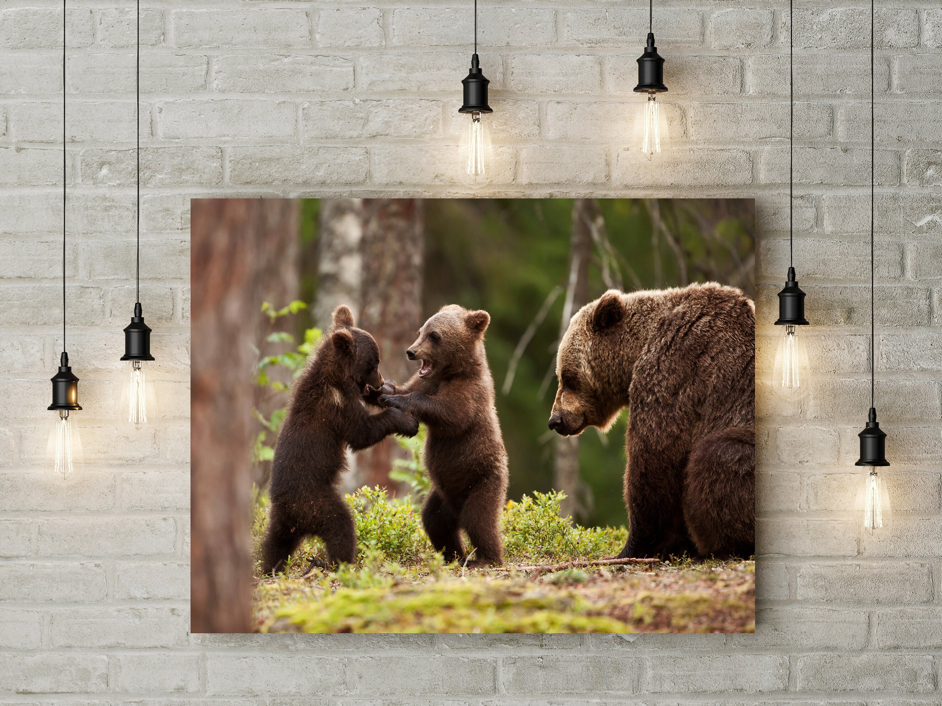 Brown Bears Canvas UK Wall Art Decor Picture Print Gift Him Etsy UK