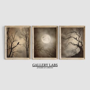 May include: Set of three framed art prints featuring a spooky forest scene. Each print depicts bare trees, a full moon, and a crow. The prints are in a sepia tone, with a vintage aesthetic. The text "GALLERY LABS printable art collective" is at the bottom.