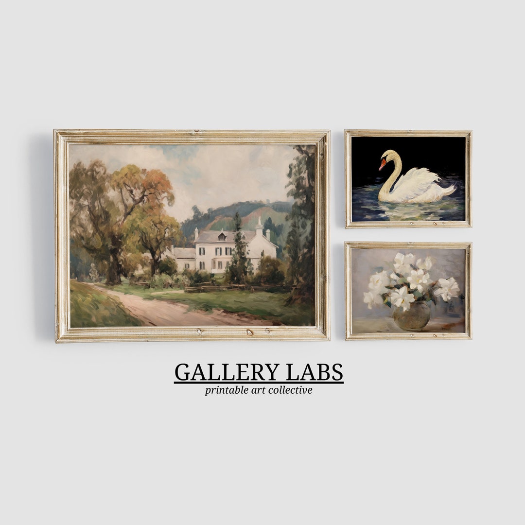 Vintage Farmhouse Wall Art Set of 3 Prints DOWNLOADABLE Flower Still