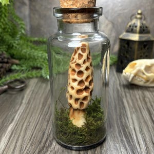 Op de afbeelding: Een witte keramische mok met een zwarte handgreep en de tekst "But First, Coffee" in een vetgedrukte, zwarte letter. De mok staat tegen een vage achtergrond, wat een gezellige setting suggereert.