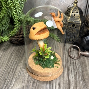 Könnte beinhalten: Ein dekoratives Terrarium mit einem Pilzmodell, grünem Moos und einer Feenfigur in einer Glaskuppel. Der Pilz hat eine braune Kappe und einen weißen Stiel. Die Basis besteht aus Kork. Die Fee hat weiße Flügel.